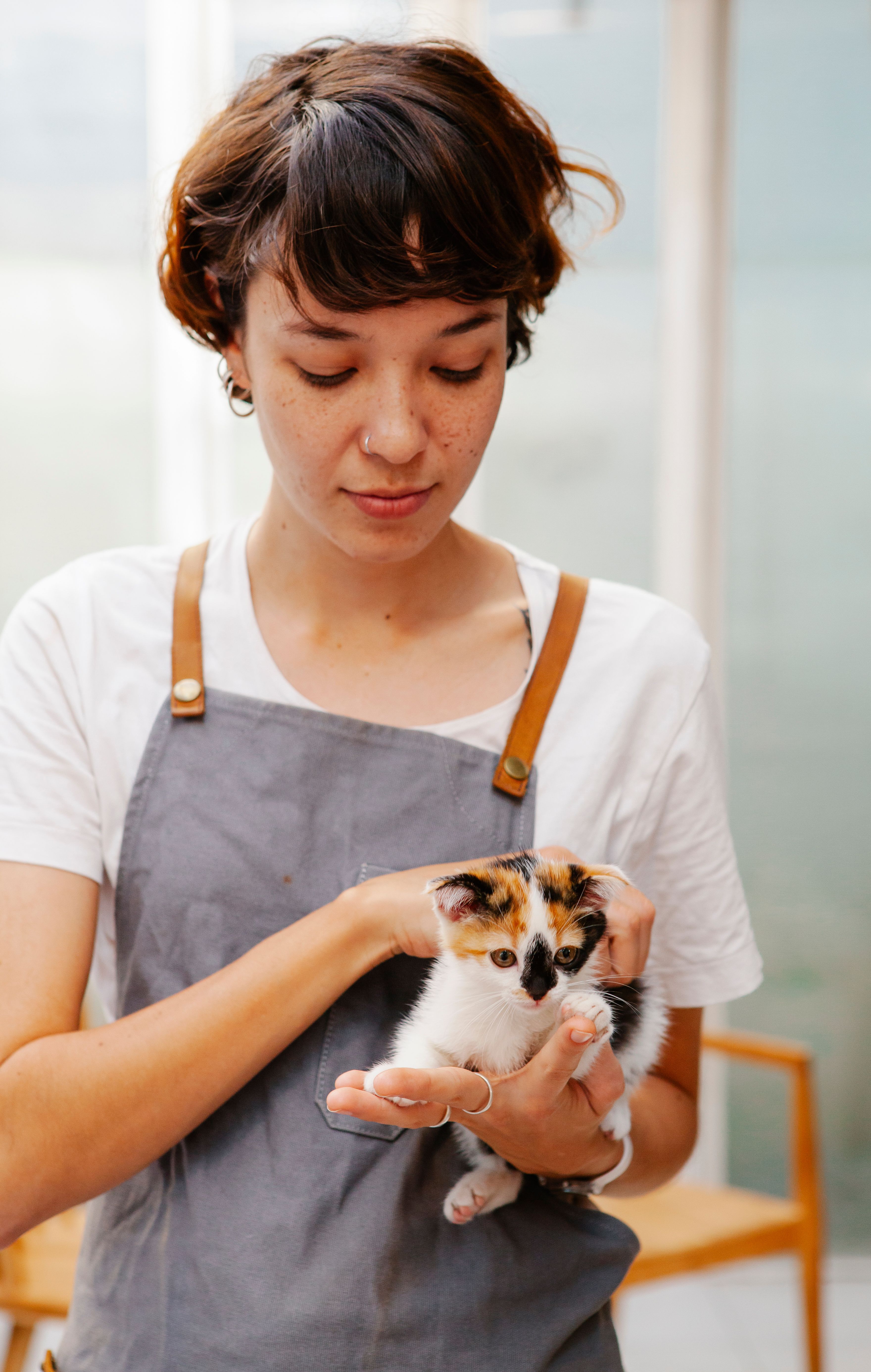 Animal welfare and rescue in Collin County